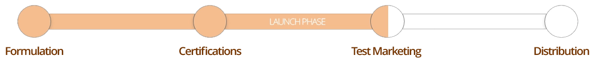 PapayaActivs launch phase progress